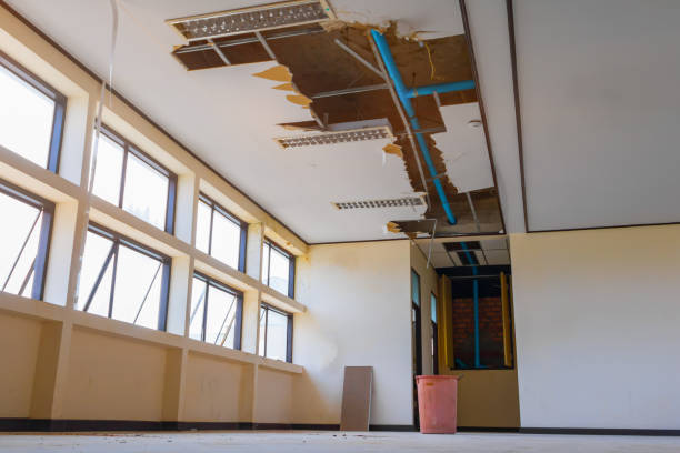 Best Flood damage cleanup  in Staic, CA