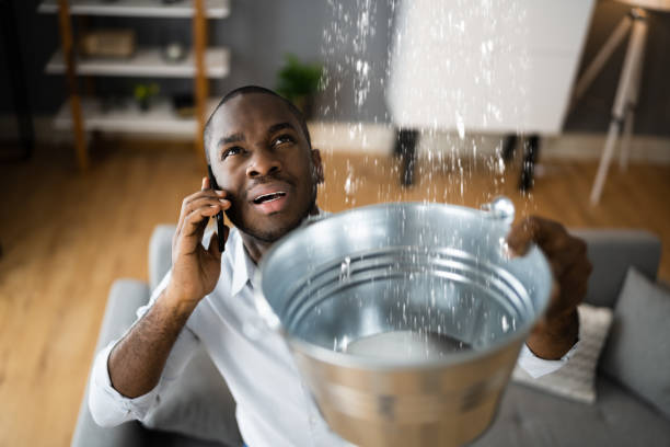 Best Water damage restoration near me  in Staic, CA