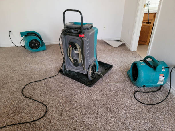 Local water damage restoration in Castaic, CA