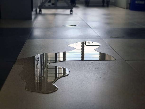 Best 24-hour water damage restoration  in Staic, CA