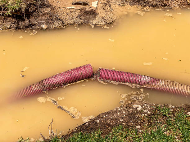 Best Local water damage restoration  in Staic, CA