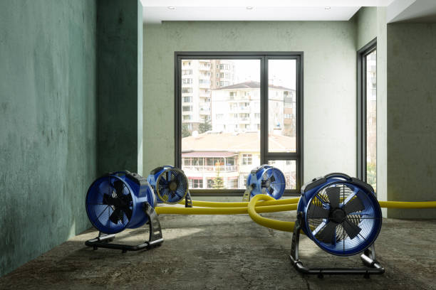 Best Sewage cleanup and water damage restoration  in Staic, CA
