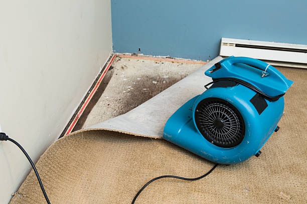Best Flood restoration services  in Staic, CA